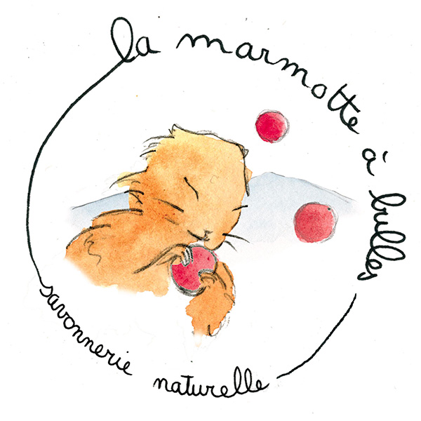 www.lamarmotteabulles.fr