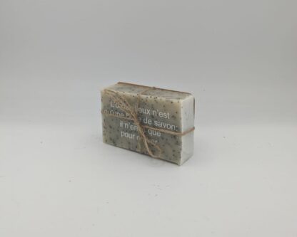 "L'orgueilleux n'est qu'une bulle de savon, il n'enfle que pour creuver" – Image 3