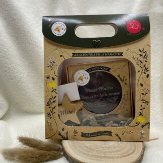 Coffret maître